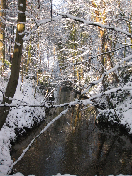 winter in het park 013