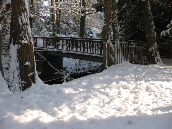 winter in het park 019