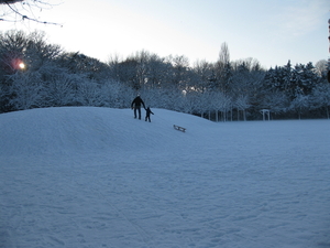 winter in het park 027