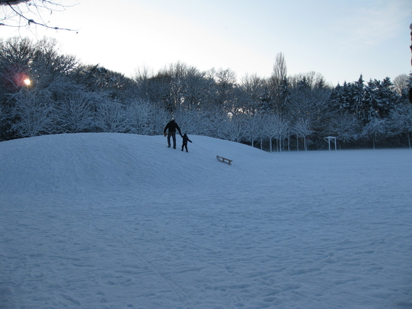 winter in het park 027