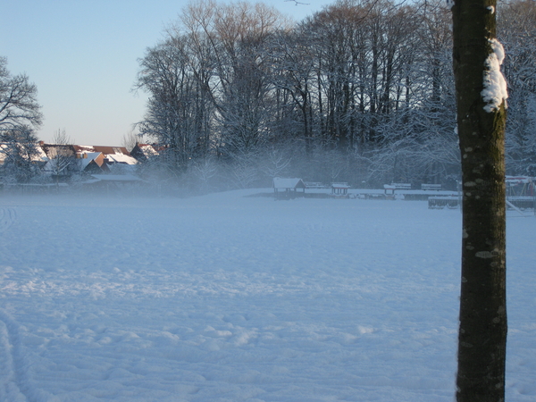 winter in het park 028