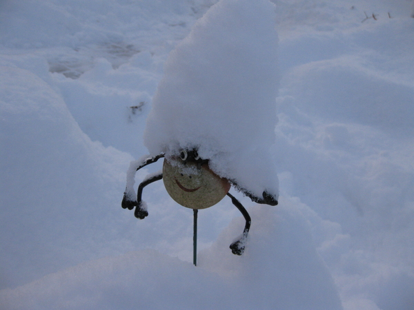 dikke dikke sneeuw 022