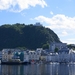 Cruise-264