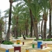 Benidorm 204