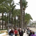 Benidorm 209