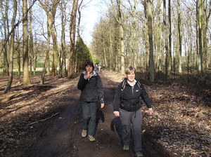 waregem 2009 004