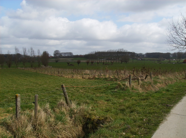 waregem 2009 005