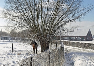 PALIETER EN KERST STAL