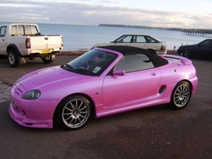 PINK20MGF20087[1]