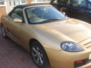 gold1 (2)