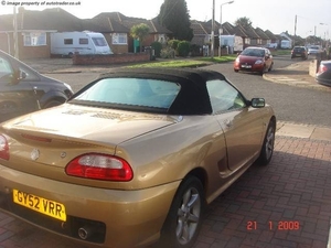 gold2 (2)