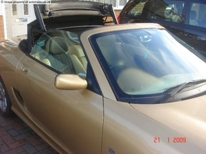 gold4 (2)