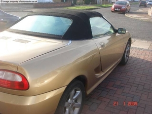 gold5 (2)