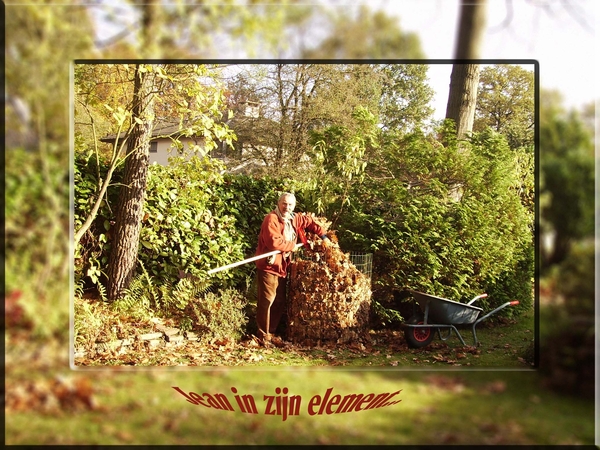 De tuin in oktober