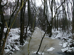 Branst dec 2010 001