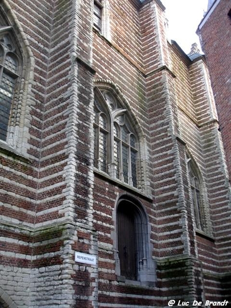 Intersoc reisleiders Antwerpen