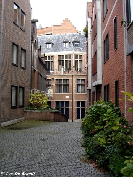 Intersoc reisleiders Antwerpen