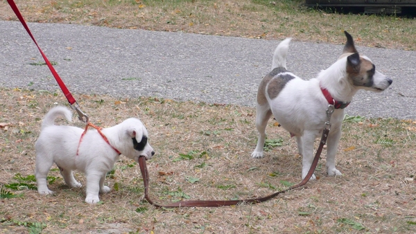 Charlotte met bbke Zephy