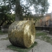 Ravenna