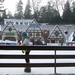 DSCF1769