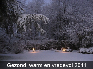 Tuin december 2010