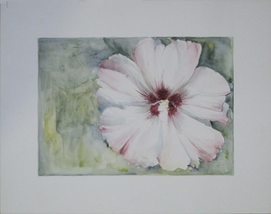 bloemen 14 50x40