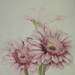 bloemen 15 56x76