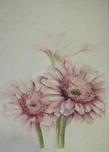 bloemen 15 56x76