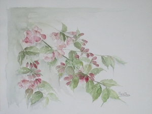 bloemen 12  40x30