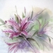 bloemen 01 76x56