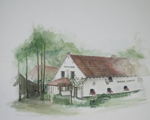 landschap 11 50x40