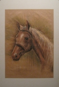 paard 02 55x76