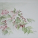 bloemen 12  40x30