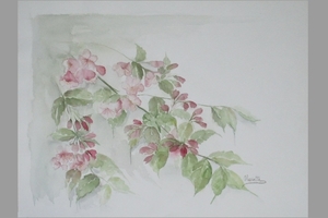 bloemen 12  40x30