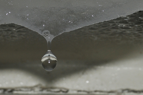 NIK_20101221_153755a