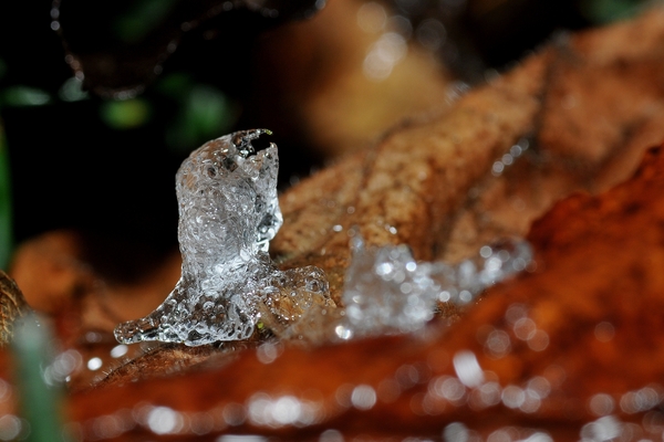 NIK_20101126_142551a