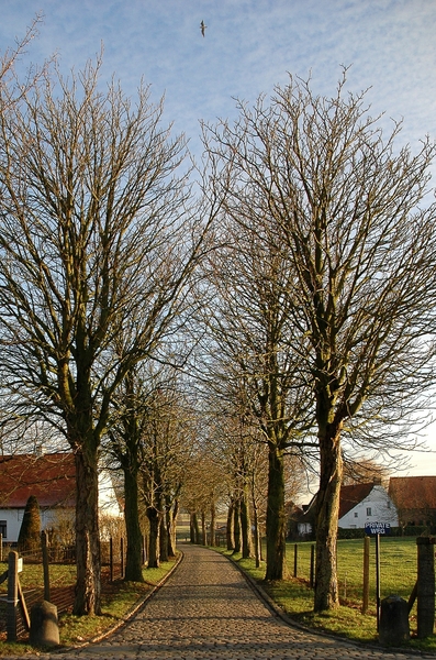 NIK_20101213_164958a