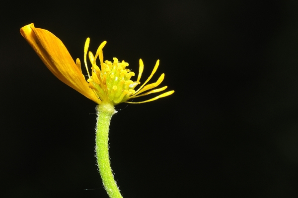 DSC_5981-20110511_162133a