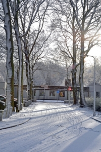 zonne stralen fietspad cobbenhagenlaan