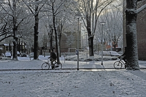 fietsen op fietspad cobbenhagenlaan tilburg