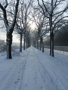 wandelpad in de middag pause vossenberg tilburg