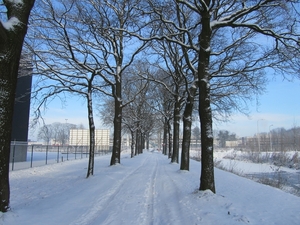 wandelpad in de pause tilburg vossenberg