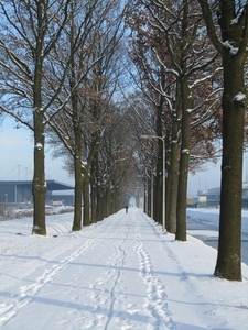 collega loop door en ik fotograferen vossenberg tilburg