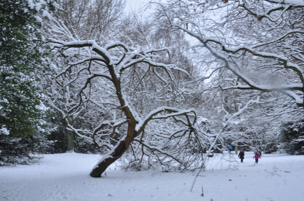 cobbemhagenpark tilburg