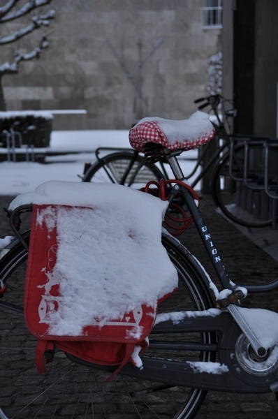 sneeuwfietstas