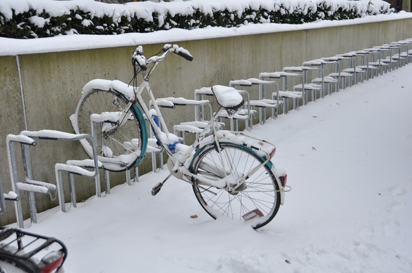 sneeuwfiets campus tilburg