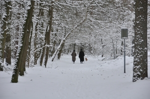 wandelbos tilburg