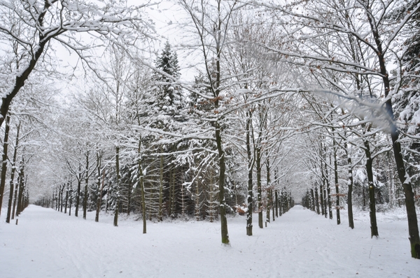 twee wegen wandelbos