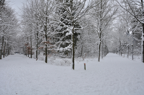 twee wegen wandelbos tilburg