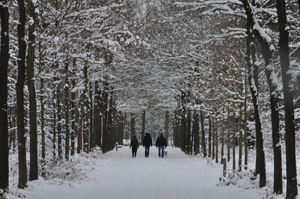 wandelpad tilburg